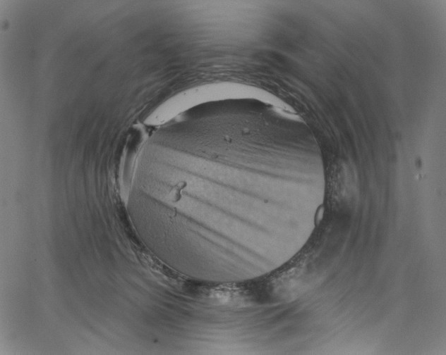 X0000067350420200604281447