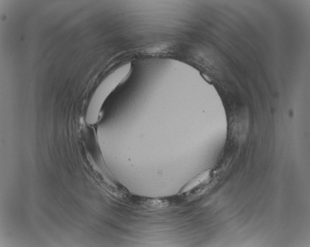 X0000067350421200604281447