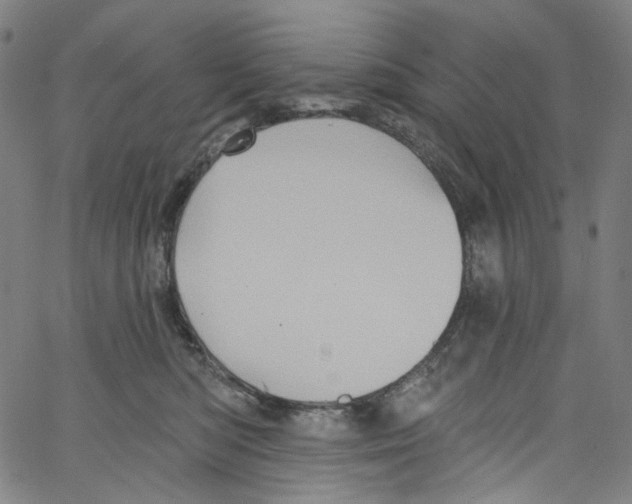 X0000067350422200604281447