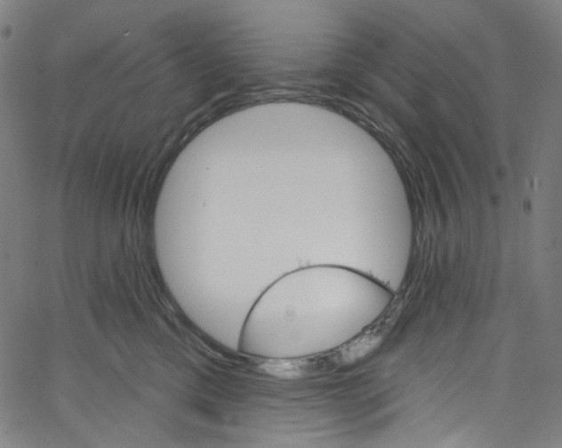 X0000067350425200604281447