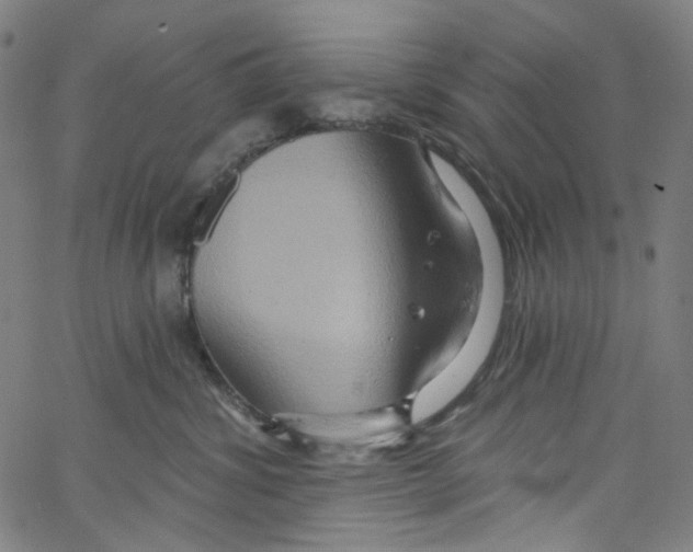 X0000067350428200604281447