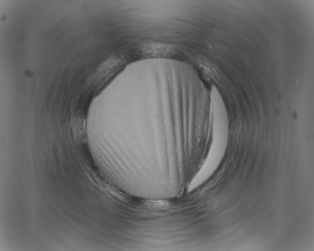 X0000067350429200604281447