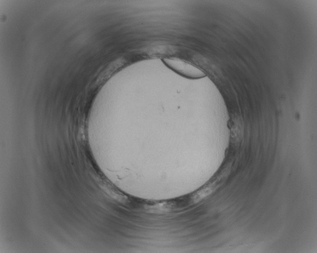 X0000067350430200604281447