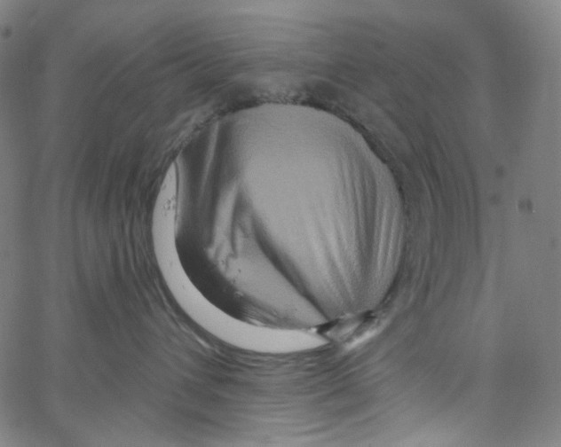 X0000067350432200604281447