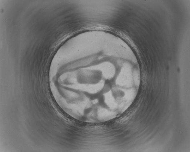 X0000067350433200604281446