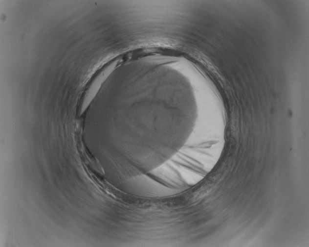 X0000067350434200604281446