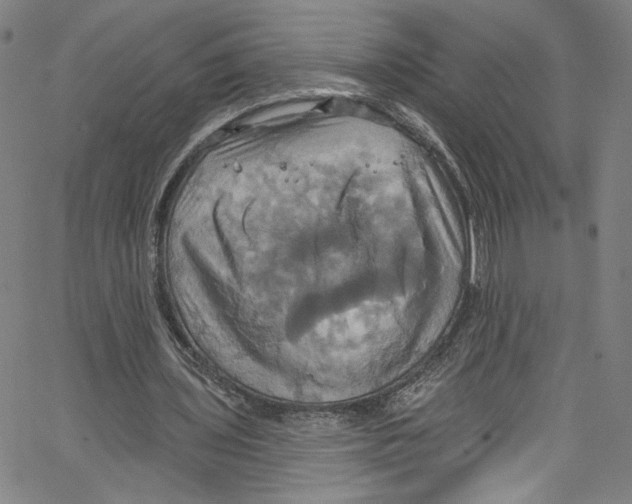 X0000067350435200604281446