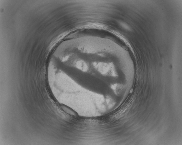 X0000067350437200604281446