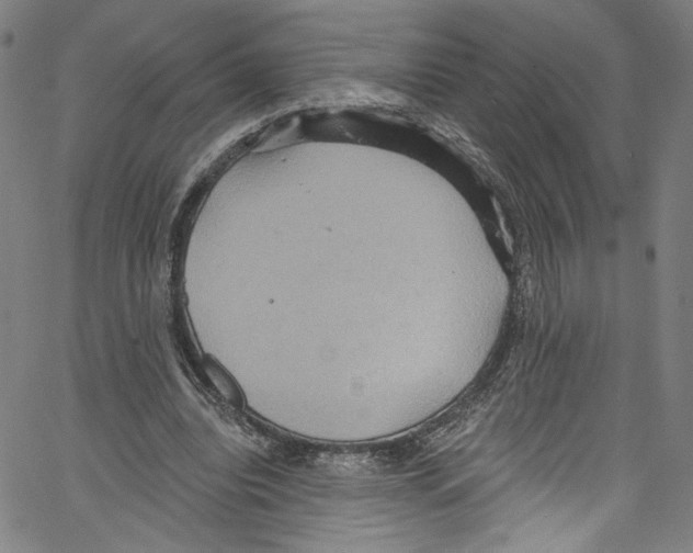 X0000067350440200604281446