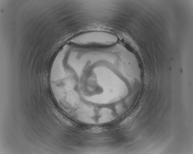 X0000067350441200604281446