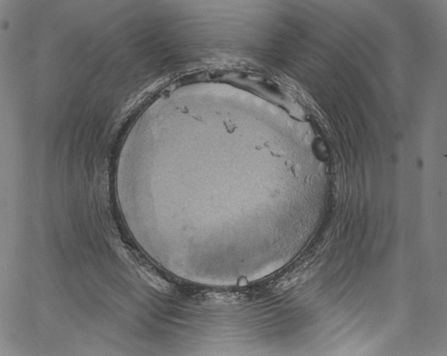 X0000067350442200604281446