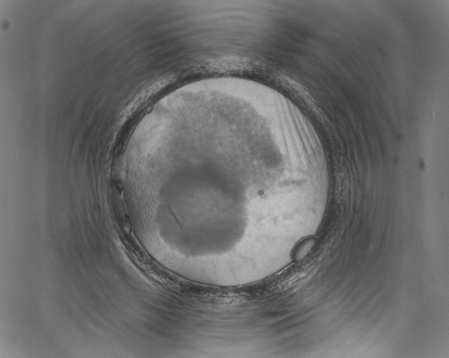 X0000067350443200604281446