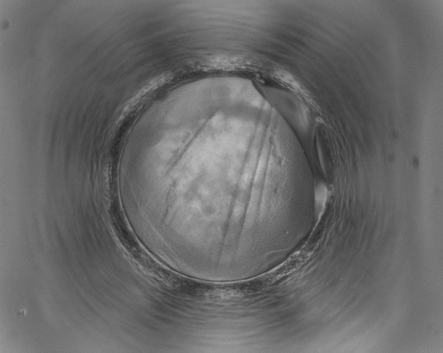 X0000067350444200604281446