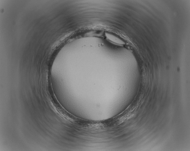 X0000067350446200604281446