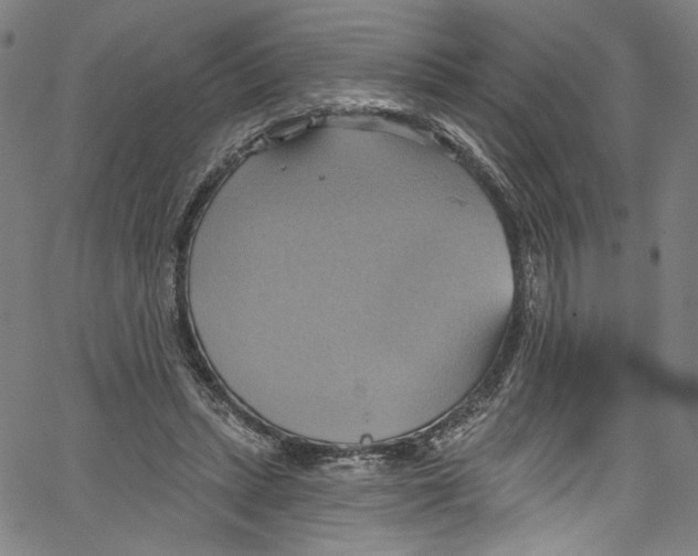 X0000067350447200604281446