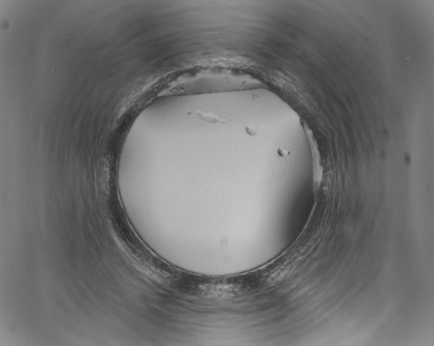 X0000067350448200604281446