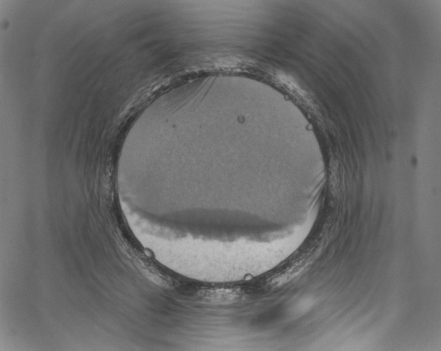 X0000067350449200604281446