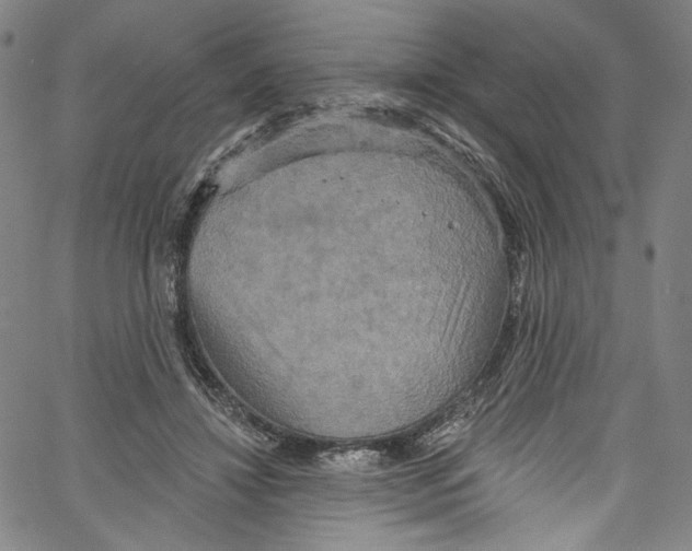 X0000067350452200604281446