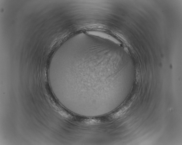 X0000067350453200604281446