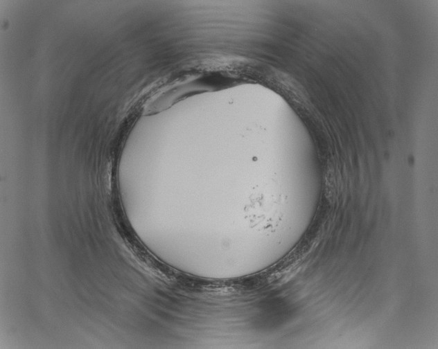 X0000067350454200604281446