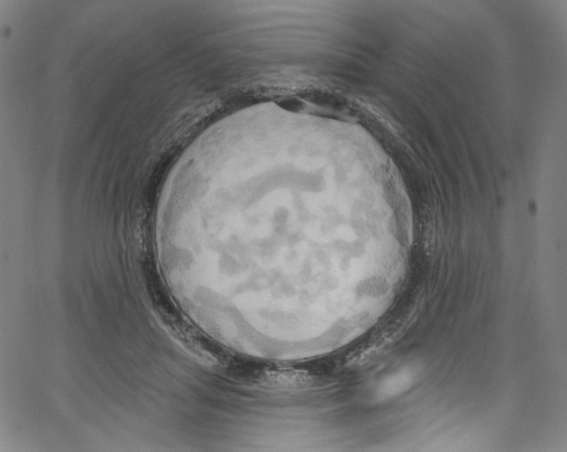 X0000067350455200604281446