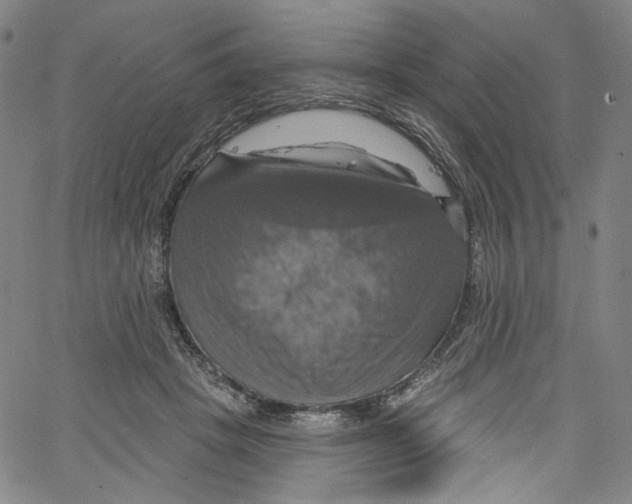 X0000067350457200604281446