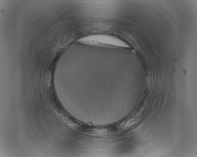 X0000067350458200604281446