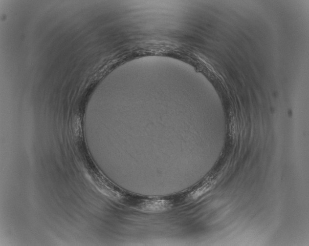 X0000067350459200604281446