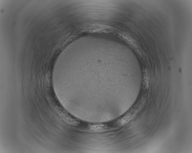 X0000067350461200604281446