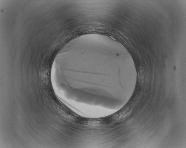 X0000067350462200604281446