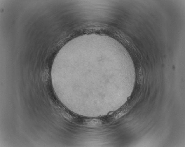 X0000067350463200604281446