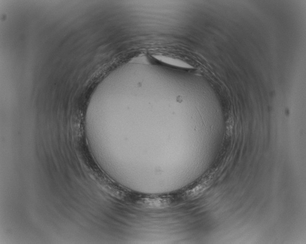 X0000067350464200604281446