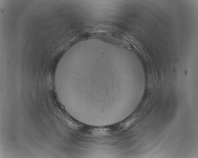 X0000067350465200604281446