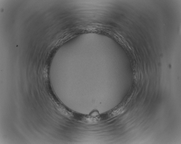 X0000067350466200604281446