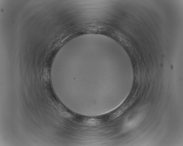 X0000067350467200604281446