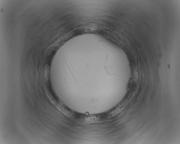 X0000067350468200604281446