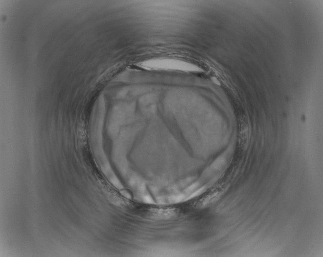 X0000067350469200604281446