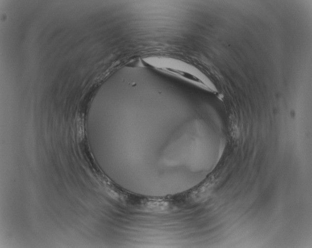 X0000067350471200604281446