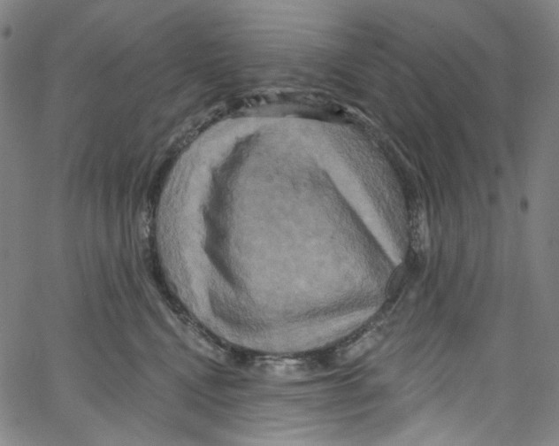 X0000067350472200604281446