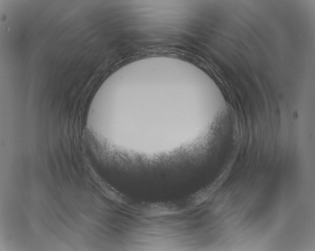 X0000067350473200604281446