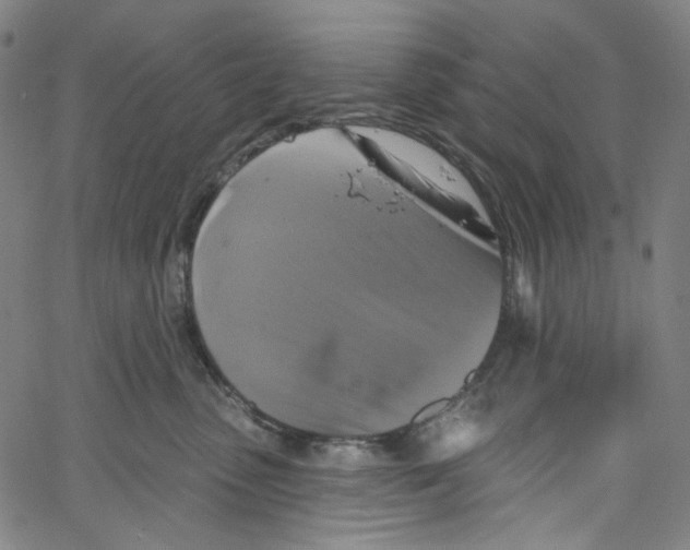 X0000067350475200604281446