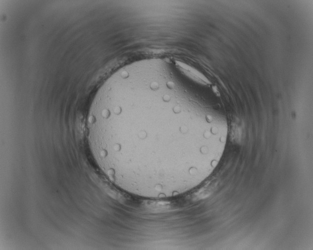 X0000067350476200604281446