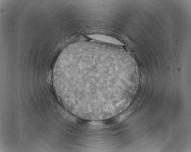 X0000067350477200604281446