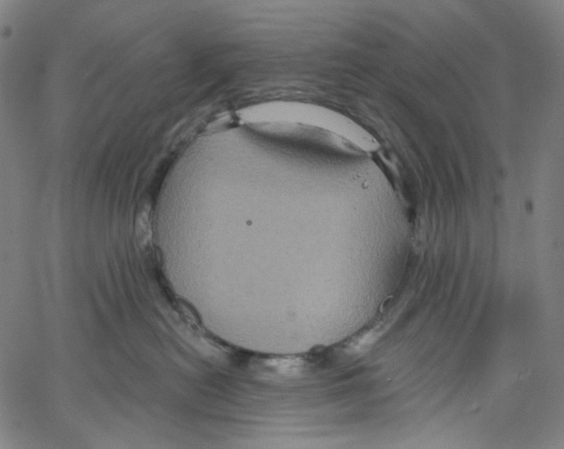 X0000067350478200604281446