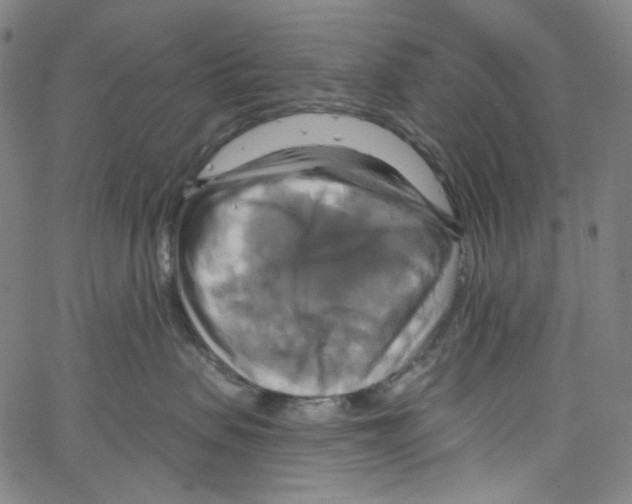 X0000067350479200604281447