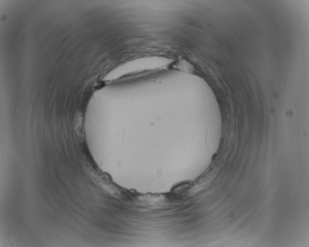 X0000067350480200604281447