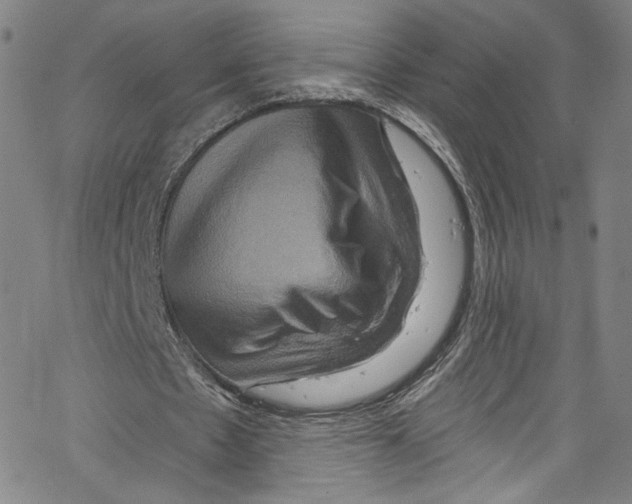 X0000067350481200604281446