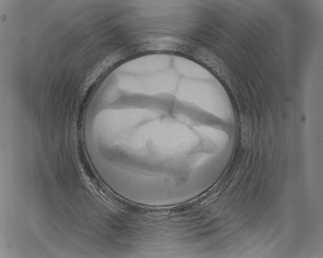 X0000067350482200604281446