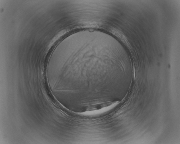 X0000067350483200604281446