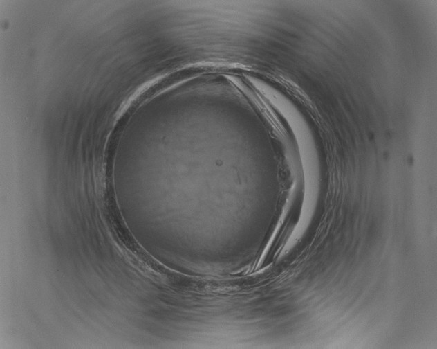 X0000067350484200604281446